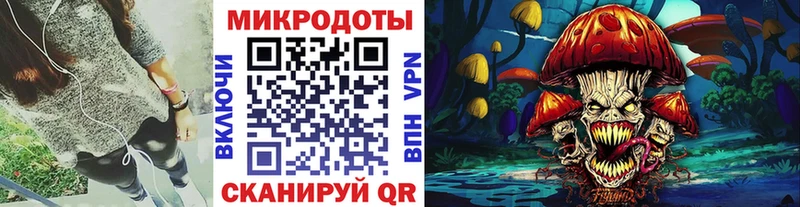 что такое   Новое Девяткино  Галлюциногенные грибы Psilocybine cubensis 